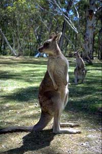Gold Coast, Australia